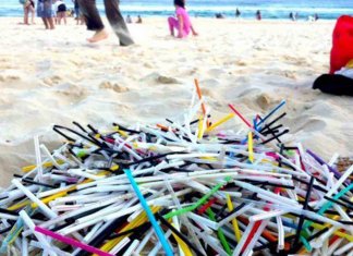 Utensílios de plástico são proibidos em praias da Argentina