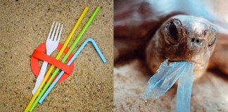 Artigos de plástico descartáveis estarão proibidos na Europa a partir de 2021 Artigos de plástico descartáveis estarão proibidos na Europa a partir de 2021