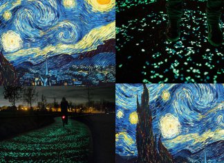 Holanda homenageia obra de Van Gogh com ciclovia que brilha no escuro