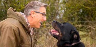 3 razões para você conversar mais com seu cachorro