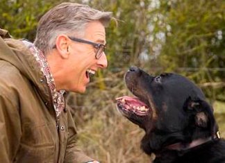 3 razões para você conversar mais com seu cachorro