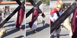 Cãozinho ganha notoriedade ao tentar defender Jesus contra soldados romanos em encenação da Via Sacra