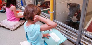 Crianças leem para cães que sofreram maus tratos e os ajudam a interagir com humanos Crianças leem para cães que sofreram maus tratos e os ajudam a interagir com humanos