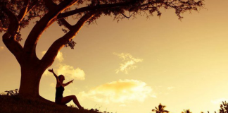 Maturidade significa buscar soluções e não o culpado Maturidade significa buscar soluções e não o culpado