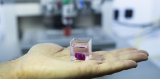 Israel cria primeiro coração feito por impressora 3D a partir de células de paciente