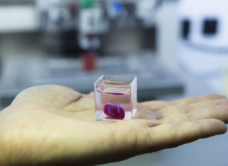Israel cria primeiro coração feito por impressora 3D a partir de células de paciente