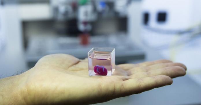 Israel cria primeiro coração feito por impressora 3D a partir de células de paciente