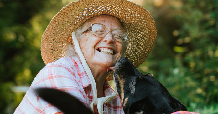 A missão espiritual que seu cão tem em sua vida