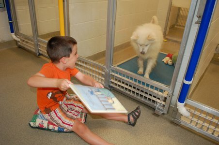 asomadetodosafetos.com - Crianças leem para cães que sofreram maus tratos e os ajudam a interagir com humanos