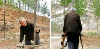 Senhor de 70 anos com as duas pernas amputadas planta 17.000 árvores em 19 anos e salva floresta Senhor de 70 anos com as duas pernas amputadas planta 17.000 árvores em 19 anos e salva floresta