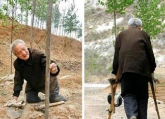 Senhor de 70 anos com as duas pernas amputadas planta 17.000 árvores em 19 anos e salva floresta