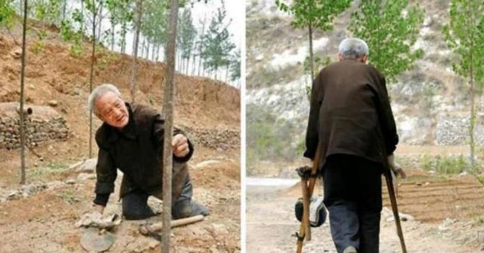Senhor de 70 anos com as duas pernas amputadas planta 17.000 árvores em 19 anos e salva floresta