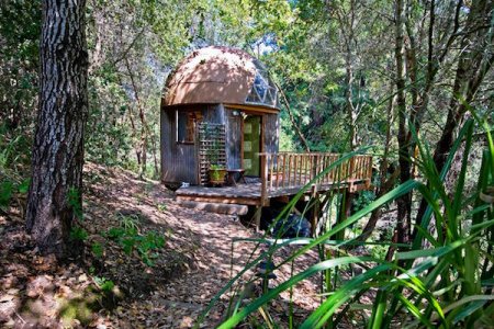 contioutra.com - Cabana na floresta se torna a mais popular do Airbnb em todo mundo