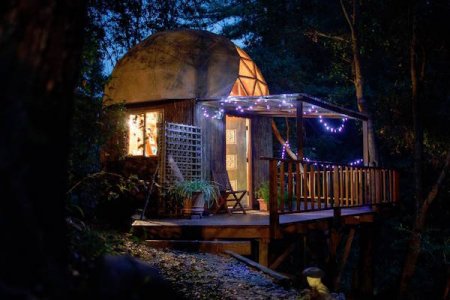 asomadetodosafetos.com - Cabana na floresta se torna a mais popular do Airbnb em todo mundo
