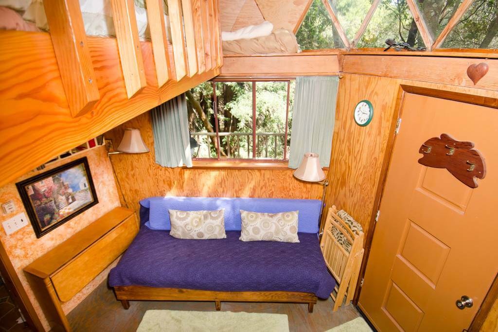 contioutra.com - Cabana na floresta se torna a mais popular do Airbnb em todo mundo