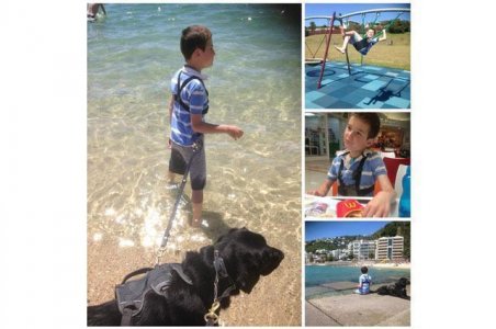 contioutra.com - Conheça a história do garotinho com autismo que só se acalma quando está com seu cão-guia