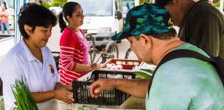 Cidade do Guarujá estimula coleta seletiva promovendo troca de lixo reciclável por pães, frutas e peixes