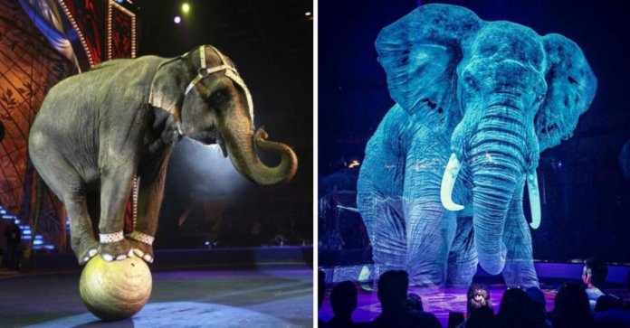 Circo alemão se recusa a maltratar animais. Eles criaram lindos hologramas para admirá-los