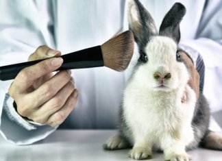 Colômbia aprova lei que proíbe experiências em animais