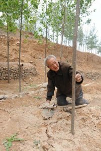 contioutra.com - Senhor de 70 anos com as duas pernas amputadas planta 17.000 árvores em 19 anos e salva floresta