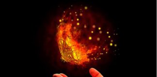 O fenômeno da borboleta em chamas, você conhece? O fenômeno da borboleta em chamas, você conhece?