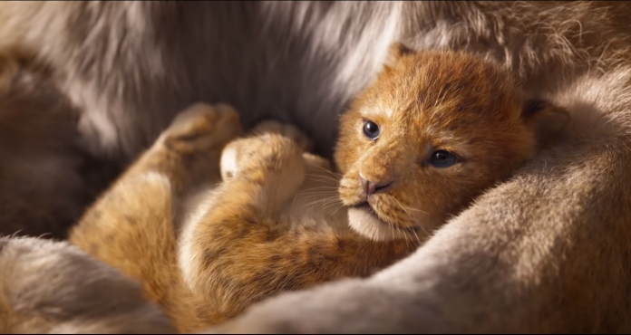 ‘O Rei Leão’ já tem trailer oficial e data de lançamento. Confira!