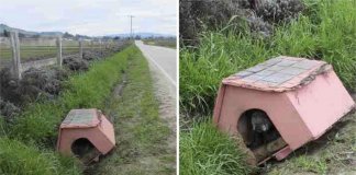 Eles a amarraram na casa dela e a deixaram na beira da estrada. Escondida do lado de dentro, ela esperou por ajuda