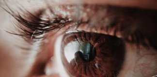 Pessoas com olhos castanhos são os seres mais interessantes que podes encontrar