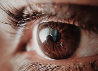 Pessoas com olhos castanhos são os seres mais interessantes que podes encontrar