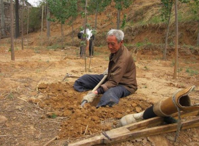 contioutra.com - Senhor de 70 anos com as duas pernas amputadas planta 17.000 árvores em 19 anos e salva floresta
