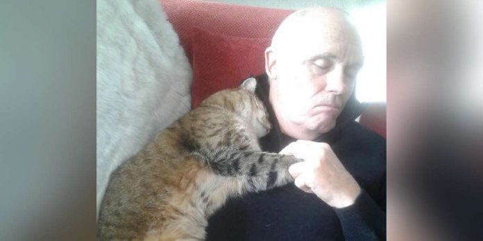 Se recuperando de cirurgia, homem acorda com o abraço carinhoso de gatinho misterioso