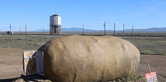 Você já pode se hospedar na casa em forma de batata gigante