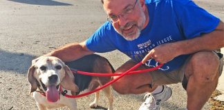 Homem abre refúgio para cães idosos que foram abandonados