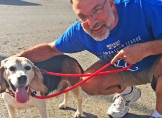 Homem abre refúgio para cães idosos que foram abandonados