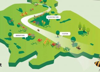 Bairro em Londres idealiza corredor de flores de 11 km para as abelhas