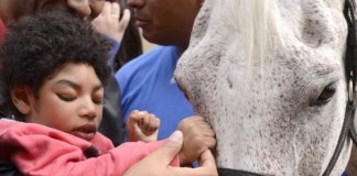 Planos de Saúde serão obrigados a oferecer equoterapia para pessoas com deficiência Planos de Saúde serão obrigados a oferecer equoterapia para pessoas com deficiência