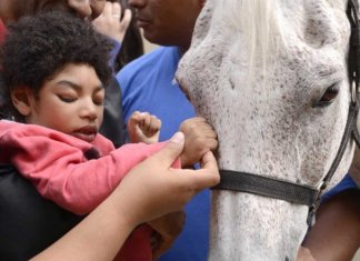 Planos de Saúde serão obrigados a oferecer equoterapia para pessoas com deficiência