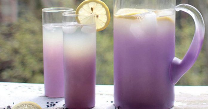 Limonada de Lavanda, a bebida que ajuda a reduzir a ansiedade e o estresse