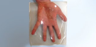 USP produz plástico 100% biodegradável com resíduos da agroindústria