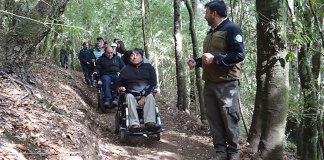 Vitória da inclusão: trilha inclusiva para pessoas com deficiência física e visual é inaugurada no Chile Vitória da inclusão: trilha inclusiva para pessoas com deficiência física e visual é inaugurada no Chile