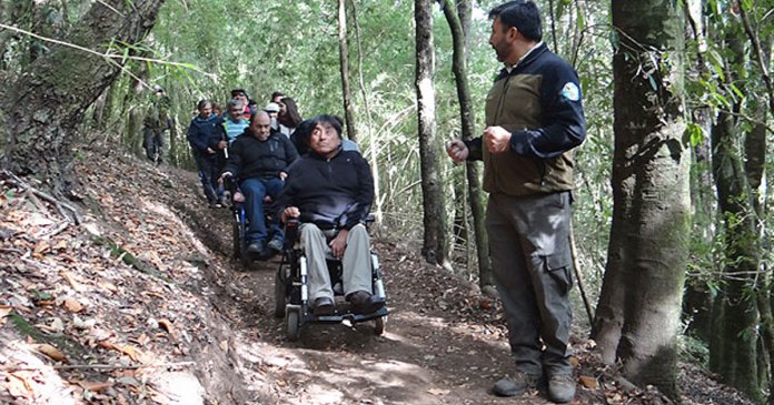 Vitória da inclusão: trilha inclusiva para pessoas com deficiência física e visual é inaugurada no Chile