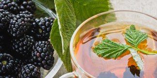 Estudo comprova: Mulher de 40 que toma chá de amora é mais feliz