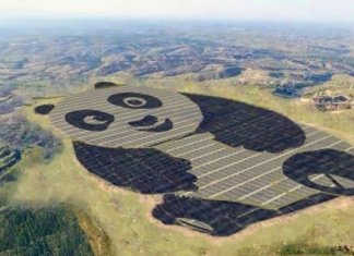 China constrói um painel solar em forma de panda e ajuda a salvar o planeta de uma forma divertida