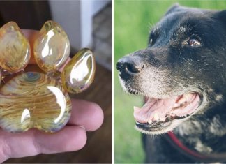 Eles convertem cinzas de animais de estimação em belos monumentos de vidro. Eles vão continuar transmitindo sua luz