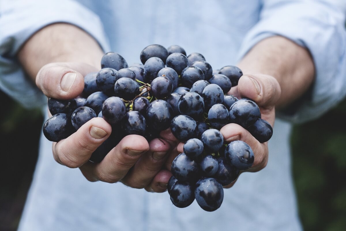 Resultado de imagem para Lavar alimentos com bicarbonato de sÃ³dio elimina agrotÃ³xicos em atÃ© 96% conti outra