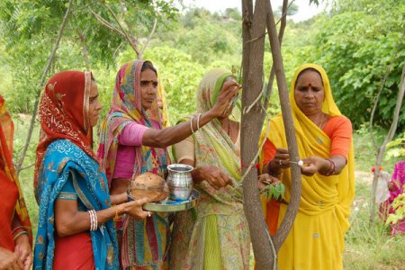 contioutra.com - Toda vez que uma menina nasce, mulheres de aldeia na Índia plantam 111 árvores