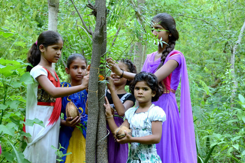 contioutra.com - Toda vez que uma menina nasce, mulheres de aldeia na Índia plantam 111 árvores