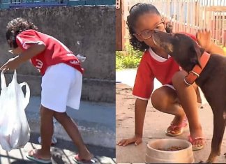 Com apenas 7 anos, menina cata latinhas para comprar ração para cães de rua