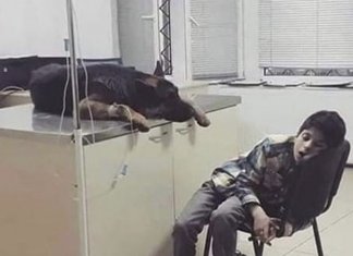 Criança passa a noite toda ao lado de seu cachorro internado. Os amigos não desistem!