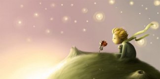 O amor acaba quando você deixa de cuidar O amor acaba quando você deixa de cuidar